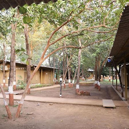 Nature Trails Sajan, Vikramgad Kudān Екстериор снимка