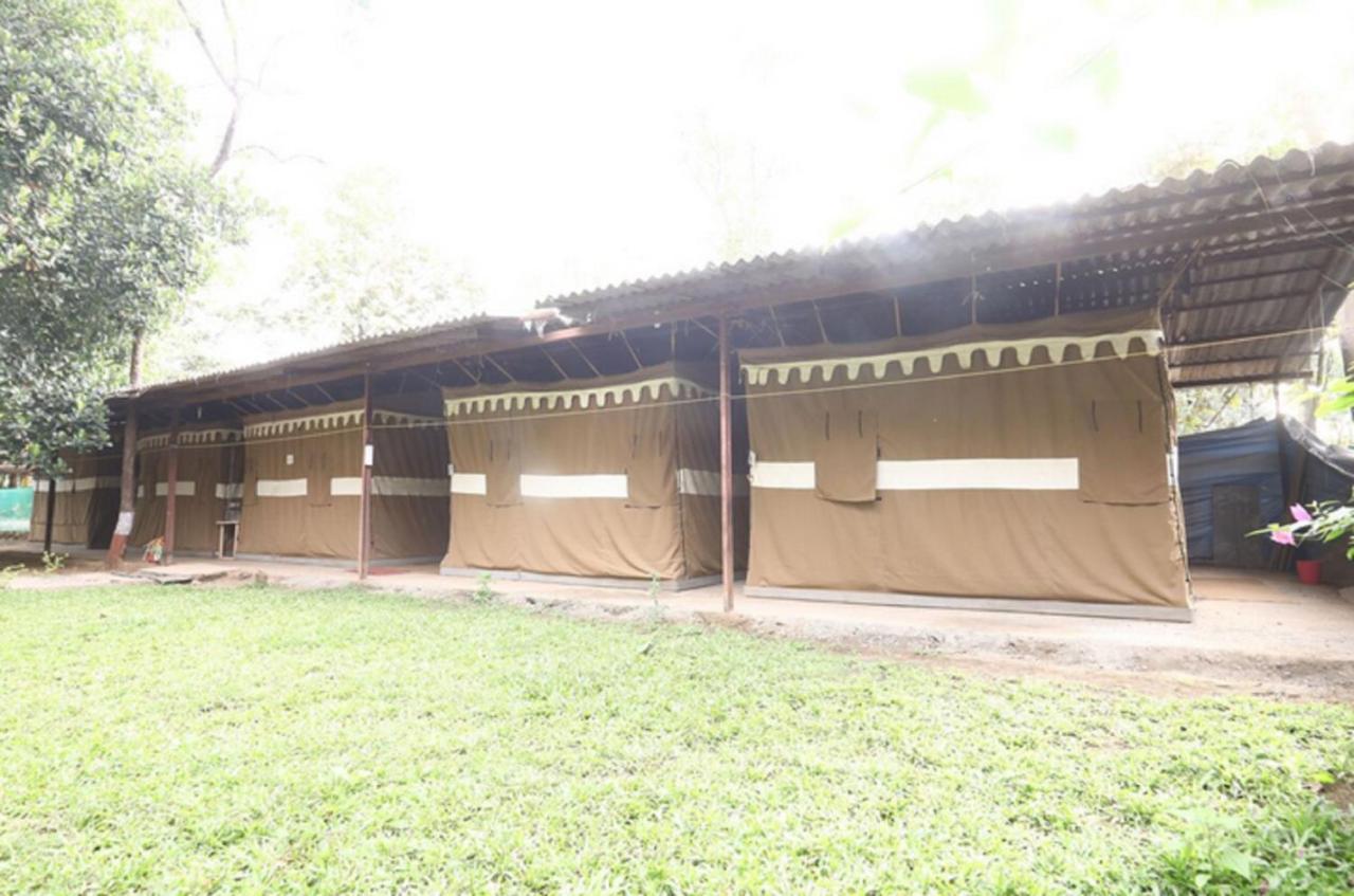 Nature Trails Sajan, Vikramgad Kudān Екстериор снимка